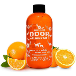 Orange Pet Odor Eliminator Concentrate