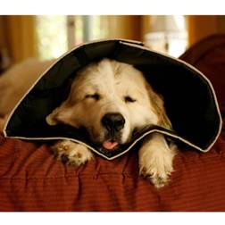 Hrse Four Paws Pet E-collar Comfy Cone XS