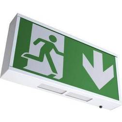 Robus 3W LED Maintained Exit Box