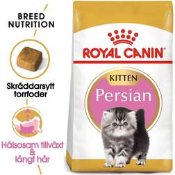 Royal Canin Persian Kitten Dry 10kg