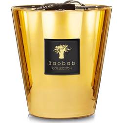 Baobab Collection Max 16 Aurum Scented Candle