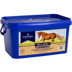 Dodson & Horrell Turmeric 2kg