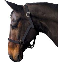 Requisite Economy Headcollar