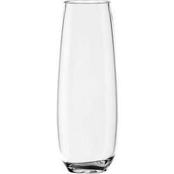 TarHong Montana Champagne Glass 29.6cl 6pcs