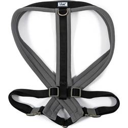 Ancol Viva Padded Dog Harness X Large (70cm