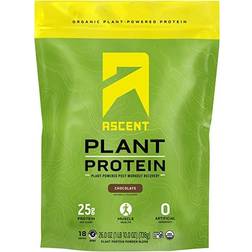 Ascent Organic Plant Protein Chocolate