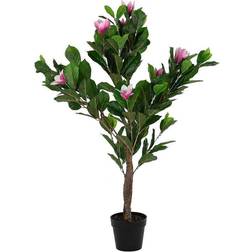 Dkd Home Decor Dekorativ plante Pink Grøn PE (60 x 60 x 125 cm) Decorative Item