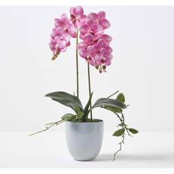 Homescapes Pink Orchid 54 cm Phalaenopsis in Ceramic Pot Vase