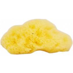 Hydrea London Fina Silk Sea Sponge For Cosmetic or Baby Use 7 cm