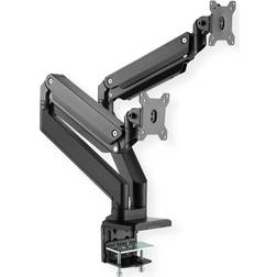 Roline Monitor Arm for 2