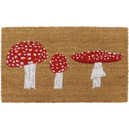 JVL Eco-friendly Latex Backed Coir Door Mat, Toad