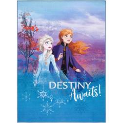 Disney Frozen 2 Destiny 5' X 7' Area Rug