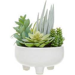 Premier Housewares Fiori Succulents In Large