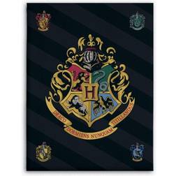 Harry Potter Kids Fleece Blanket Throw Hogwarts