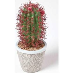 Homescapes Denmoza Artificial Cactus with Flowers Artificial Plant