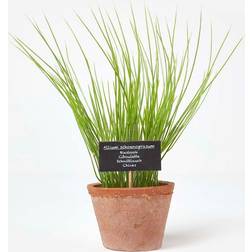 Homescapes Artificial Chive Plant Terracotta Artificial Plant