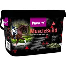 Pavo MuscleBuild 3kg