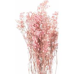 Hill Interiors Dried Pale Pink Babys Breath Bunch