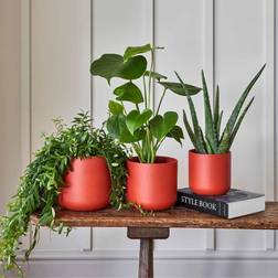 Ivyline Lisbon Planter - Ceramic H26 - Coral