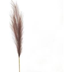 Hill Interiors Taupe Faux Pampas Grass Stem