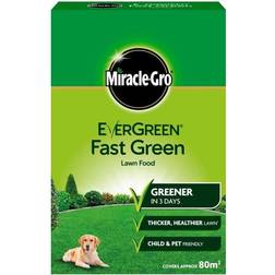 Miracle-Gro Evergreen Fast Green 80m2 Box