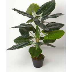 Homescapes Taro Plant 90 - Green