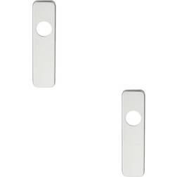 PAIR Door Handle Latch Plate