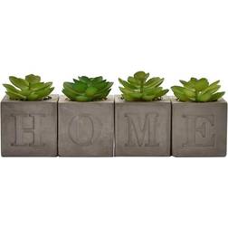 Hestia Set of 4 Plants Cement Pot