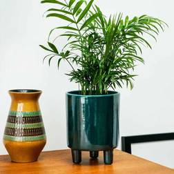 Ivyline Pisa Emerald Planter