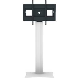 Celexon Professional Plus display stand