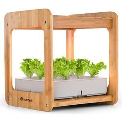 Blumfeldt Urban Bamboo Hydroponic Garden