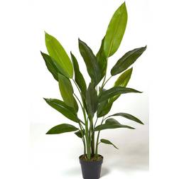 Homescapes Heliconia Plant - Green