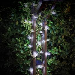 Smart Garden Solar Solar Stringlights String Light