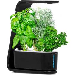 AeroGarden Sprout