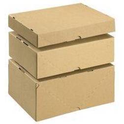 Carton With Lid 305x215x100mm Brown (10 Pack)