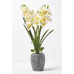 Homescapes White Orchid 82 Cymbidium Cement Pot Extra 3 Stems