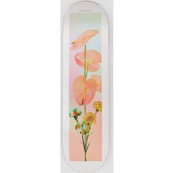 Sovrn Playground 8.25" Skateboard Deck uni Uni