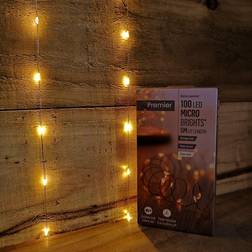 Premier 5m 100 String Light