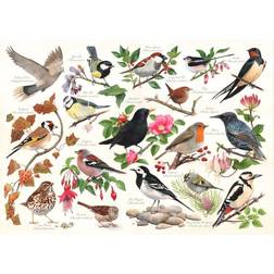 House Of Puzzles Birds In My Garden 1000 Piece Jigsaw Puzzle