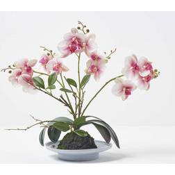 Homescapes Pink and White Orchid Phalaenopsis Pot