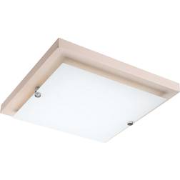 Lamkur Square Simple Ceiling Flush Light