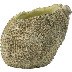 A&B Home Jackfruit Outdoor Planter