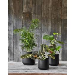 Ivyline Lisbon Planter - Ceramic