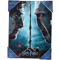 SD Toys Poster Harry Potter Voldemort, Multifärg, 41x31x3