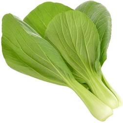 Click and Grow Pak Choi - Sg-031