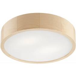 Lamkur Round Cylindrical Ceiling Flush Light