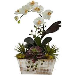 Nearly Natural Orchid and Succulent Garden Silk Flower