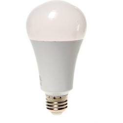 Daylight 15W LED Light Bulb each