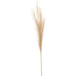 Hill Interiors Bleached Faux Pampas Grass Stem