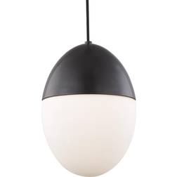 Hudson Valley Mitzi H206701L Orion Old Pendant Lamp